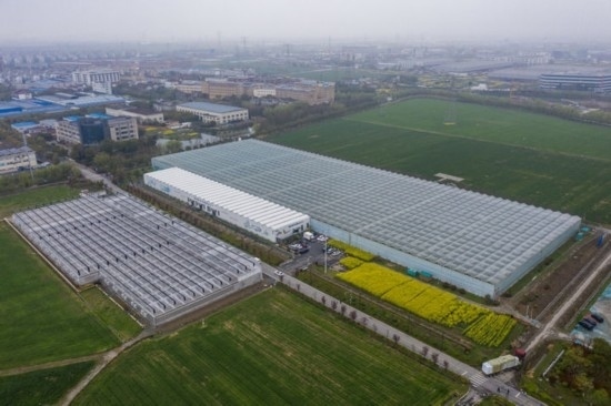 2024年3月28日，空中俯瞰嘉興南湖區(qū)湘家蕩農(nóng)業(yè)數(shù)字化工廠(chǎng)（無(wú)人機(jī)照片）。該農(nóng)業(yè)數(shù)字化工廠(chǎng)占地總面積約62畝，包含智慧農(nóng)業(yè)生產(chǎn)、物聯(lián)網(wǎng)智能管理、自動(dòng)分揀包裝、保鮮儲(chǔ)藏物流、高科技示范展示等五大功能區(qū)，可直接或間接培養(yǎng)帶動(dòng)新型職業(yè)技術(shù)農(nóng)民500人以上。新華社記者 徐昱 攝