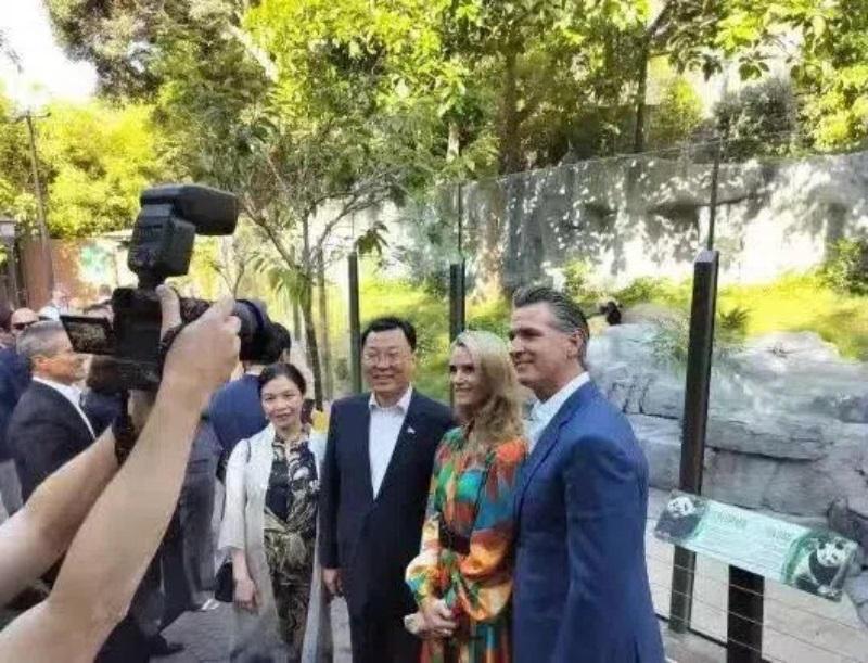 謝鋒大使及夫人與加州州長紐森夫婦在圣迭戈動(dòng)物園大熊貓館前合影。圖片為中國駐美大使館提供