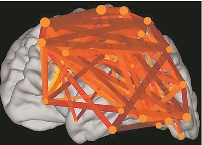 圖上的線條代表大腦皮層中與語言處理相關(guān)的各個區(qū)域之間的連接。當(dāng)閱讀時，這些區(qū)域的神經(jīng)元會以精確同步的方式激發(fā)，這種現(xiàn)象被稱為共同漣漪。圖片來源：加州大學(xué)圣迭戈分校