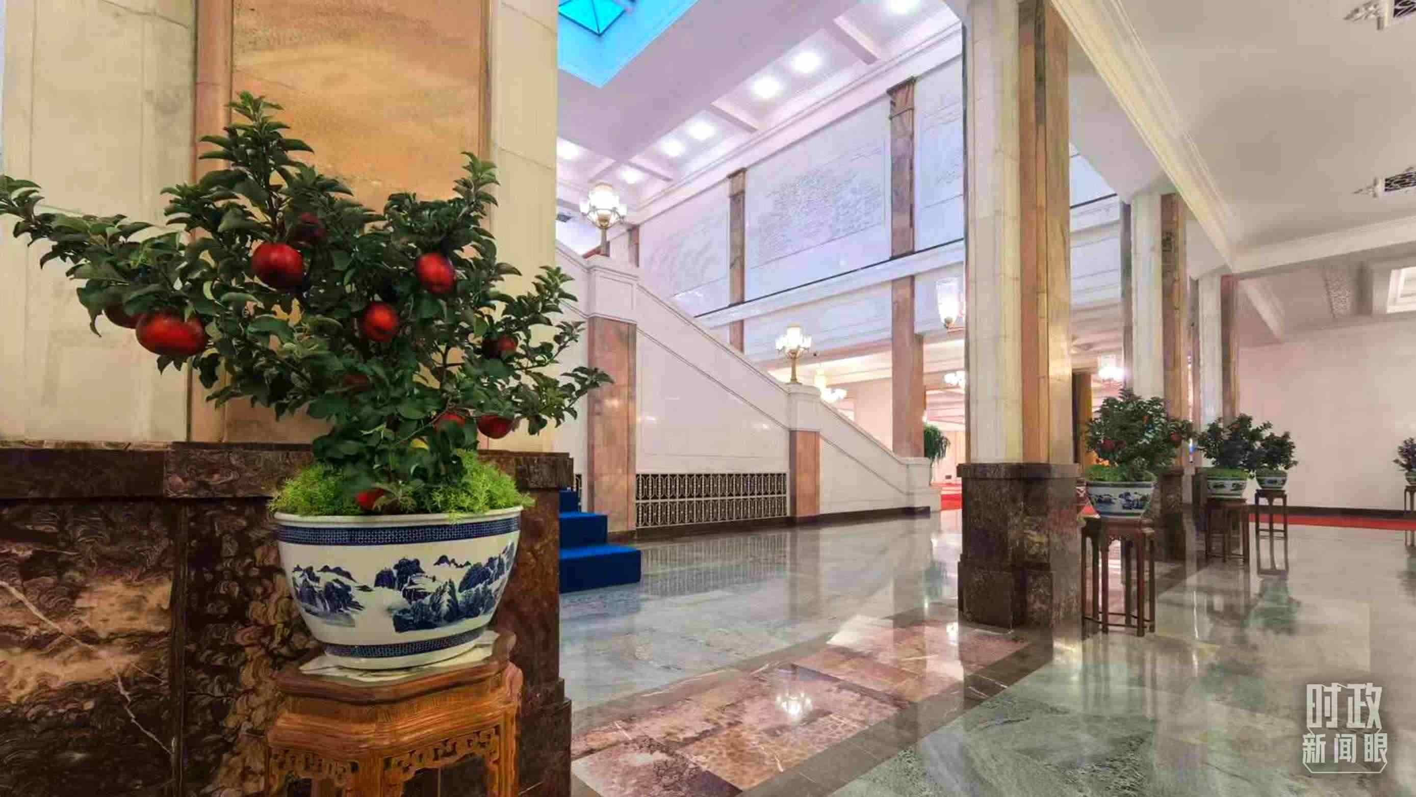  △大會堂內(nèi)的“碩果累累”盆栽。（總臺國廣記者吳倩拍攝）