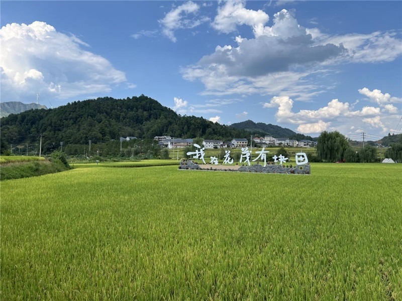 青瓦白磚的黔北民居、風中搖曳的稻田、抬手可觸的大片云朵……才剛下車，格魯吉亞“經(jīng)濟中心網(wǎng)”總編輯莉安娜·喬爾喬利亞尼就被眼前的景色拖住了步履，喃喃細語：“實在太美了，讓我內(nèi)心平靜，在這里生活一定非常安逸和幸福?！保ㄇ褫x攝）