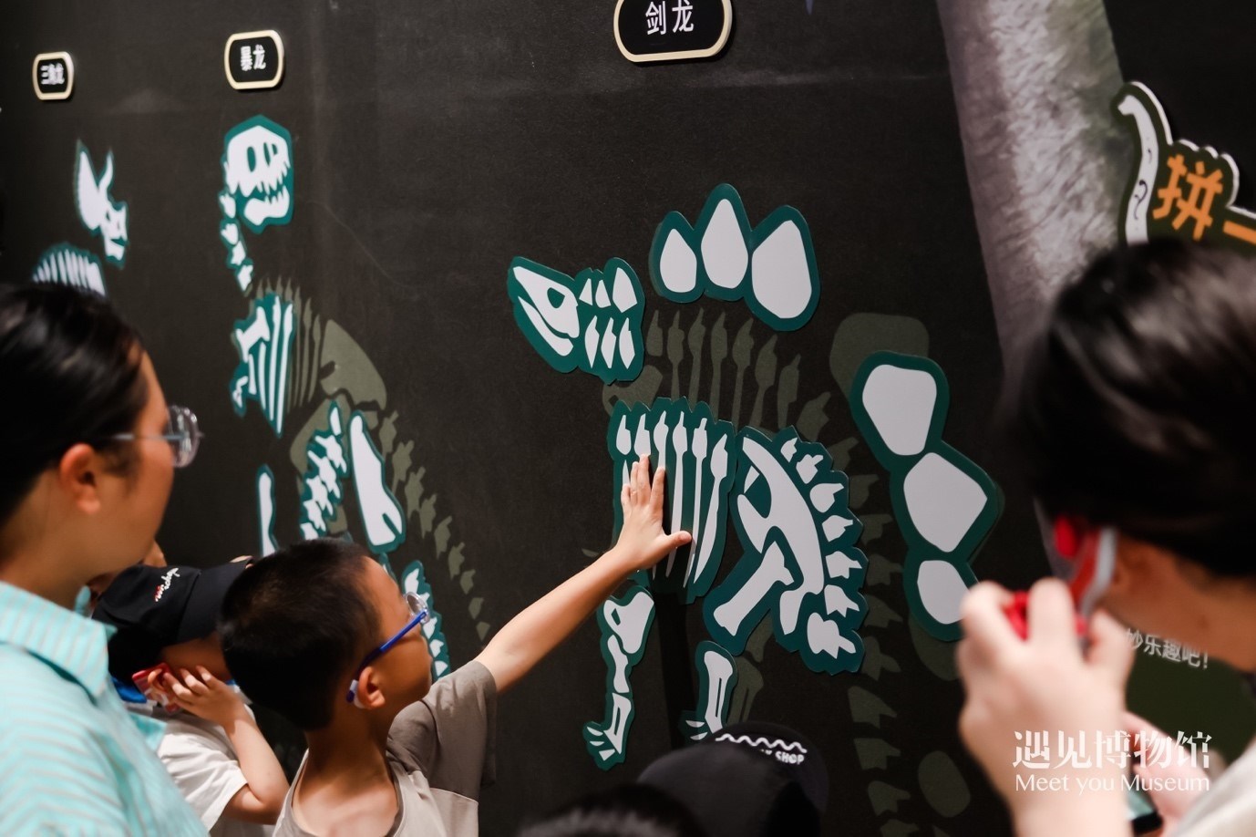 5. “2億年的地球記憶——恐龍化石特展”互動區(qū)域。遇見博物館供圖