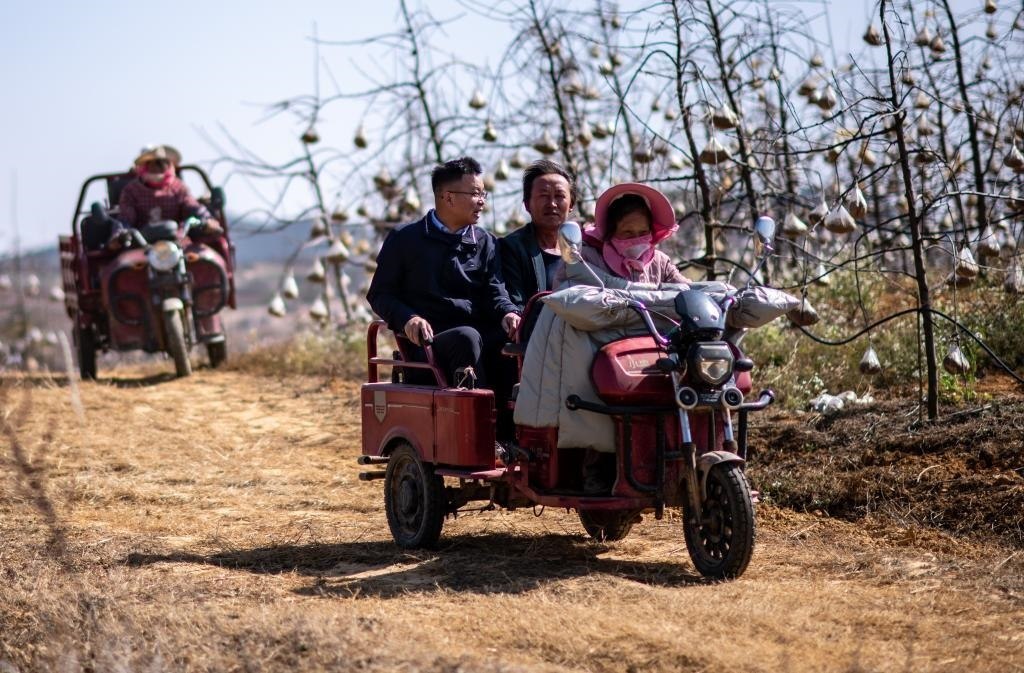 全國人大代表袁海波（右三）在云南省曲靖市馬龍區(qū)一種植基地了解務(wù)工人員就業(yè)需求（2023年2月11日攝）。新華社記者 江文耀 攝