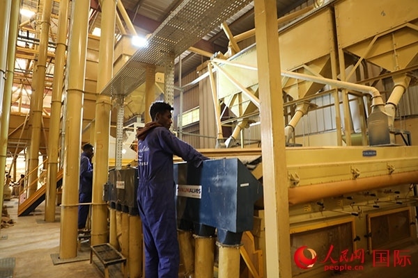 在Bule Hora咖啡加工廠里工作的當?shù)毓と藗?。人民網(wǎng)記者 沈小曉攝