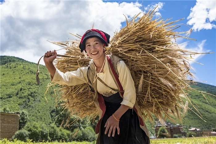 康定市甲根壩鎮(zhèn)青稞豐收，農(nóng)牧民臉上洋溢著豐收的喜悅。林革文攝