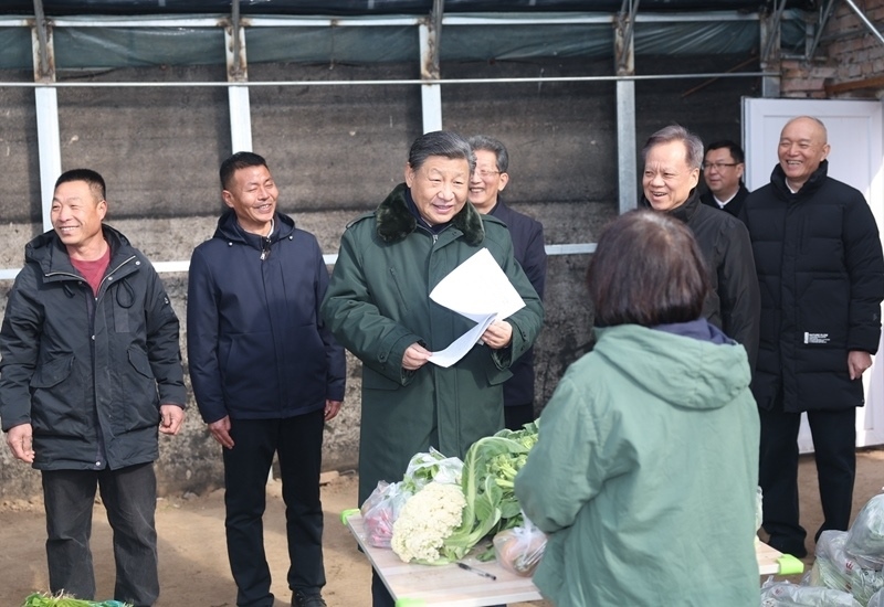 2024年2月1日，習(xí)近平總書記在天津市西青區(qū)辛口鎮(zhèn)第六埠村，走進(jìn)大棚同菜農(nóng)親切交流。