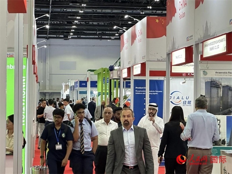 中國(guó)館一角。人民網(wǎng)記者管克江攝