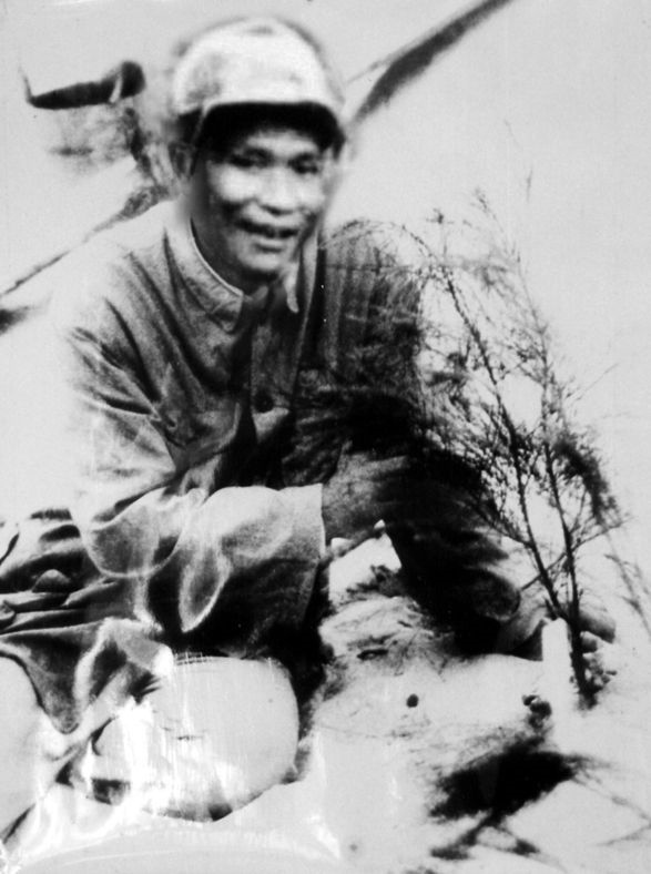 谷文昌與試種成活的木麻黃（資料照片）。為了治沙，谷文昌爬遍了東山縣400多個(gè)山頭，踏遍了30多公里的沙灘，終于帶領(lǐng)東山人民試種木麻黃成功。