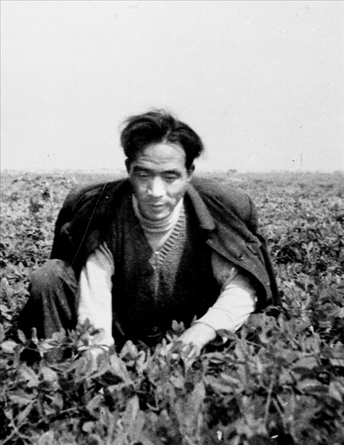 在蘭考期間，焦裕祿在田間勞動(dòng)的情景。