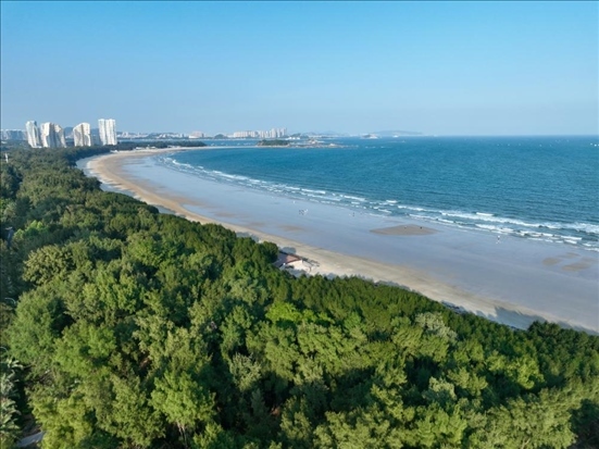 郁郁蔥蔥的東山縣沿海防護(hù)林（無(wú)人機(jī)拍攝）。新華社記者 姜克紅 攝