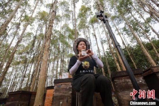 吳素英在網絡平臺直播介紹蜜蜂和養(yǎng)蜂情況。湯曉逵 攝