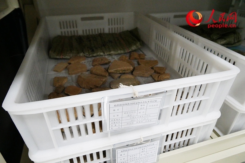已經(jīng)整理完畢的文物標(biāo)本。人民網(wǎng)記者 韋衍行攝