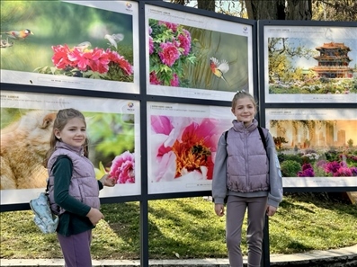 活動(dòng)現(xiàn)場(chǎng)。中國(guó)駐保加利亞大使館供圖。