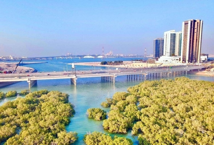 圖為瑞姆橋施工現(xiàn)場(chǎng)。中國土木供圖