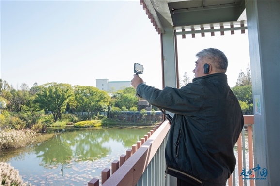 參觀白鷺園。環(huán)球網(wǎng)供圖