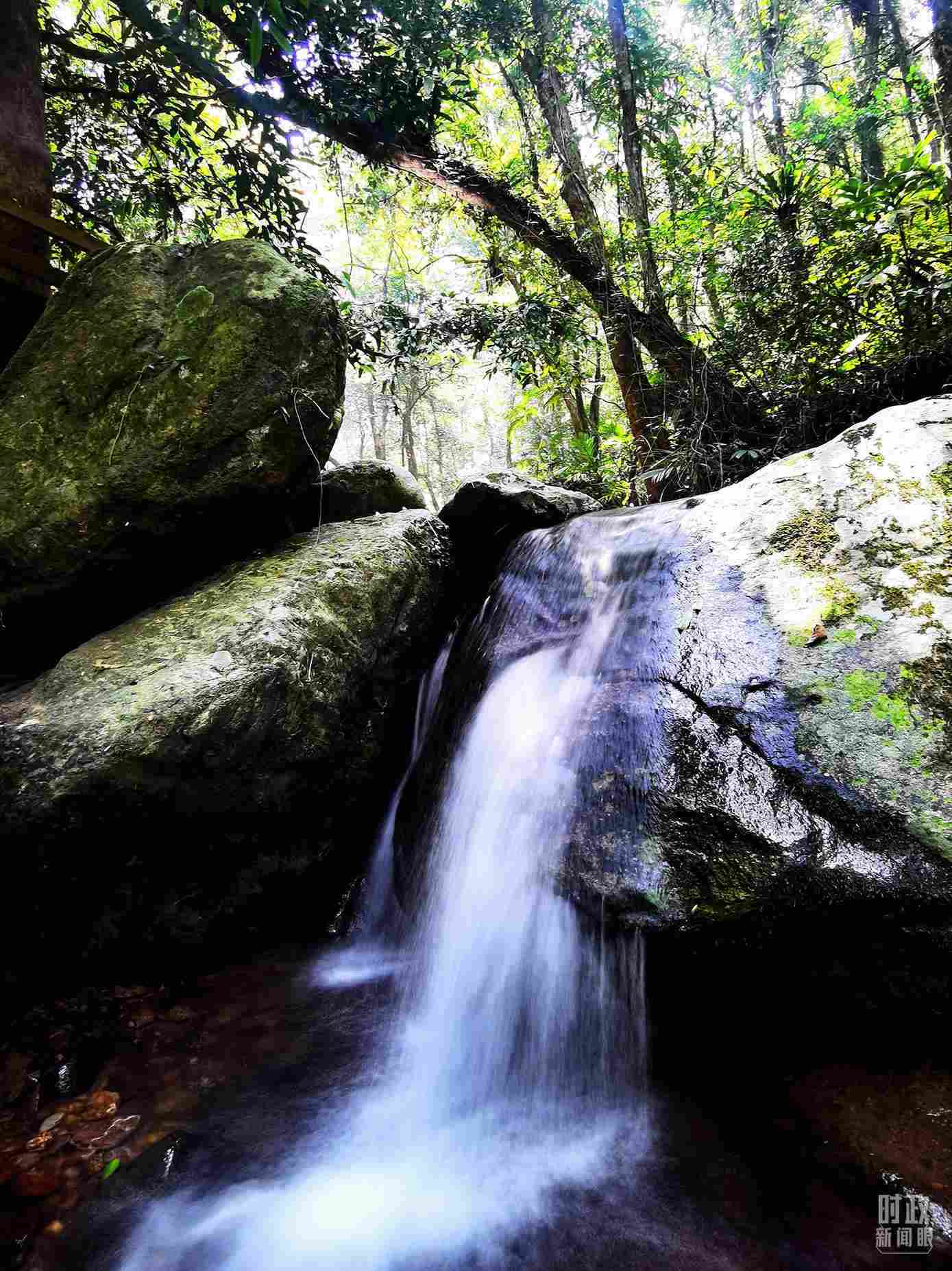 海南五指山。（總臺(tái)央視記者劉琦拍攝）