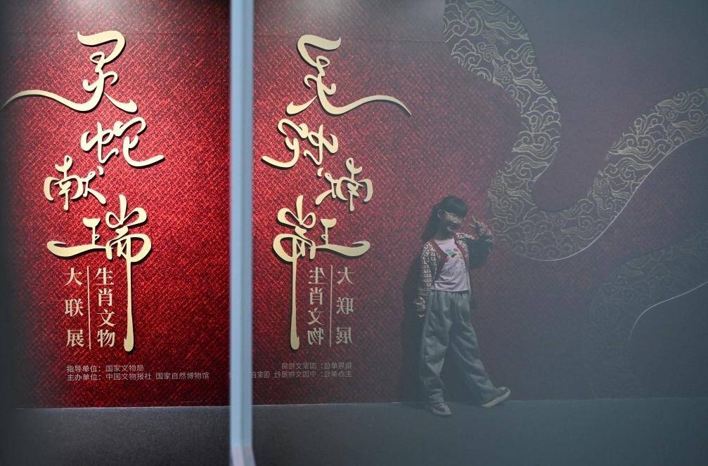 1月18日，一名小朋友在國(guó)家自然博物館舉辦的“靈蛇獻(xiàn)瑞——2025乙巳蛇年生肖文物大聯(lián)展”展覽中拍照留念。（新華社記者 陳鐘昊 攝）