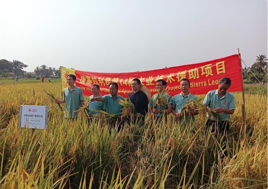 中國駐塞拉利昂大使王擎和援塞農(nóng)業(yè)專家組合影。中國援塞農(nóng)業(yè)專家組供圖