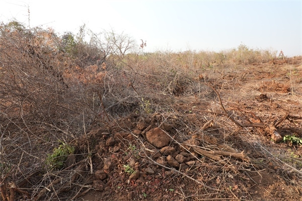 施工現(xiàn)場(chǎng)。張曉昆攝