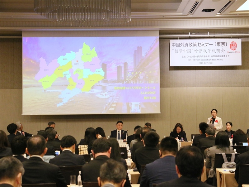 地方代表進行專題投資推介。人民網(wǎng) 許可攝