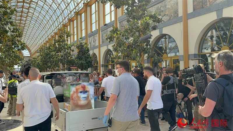 圖為活動現(xiàn)場。人民網(wǎng)記者 牛瑞飛攝