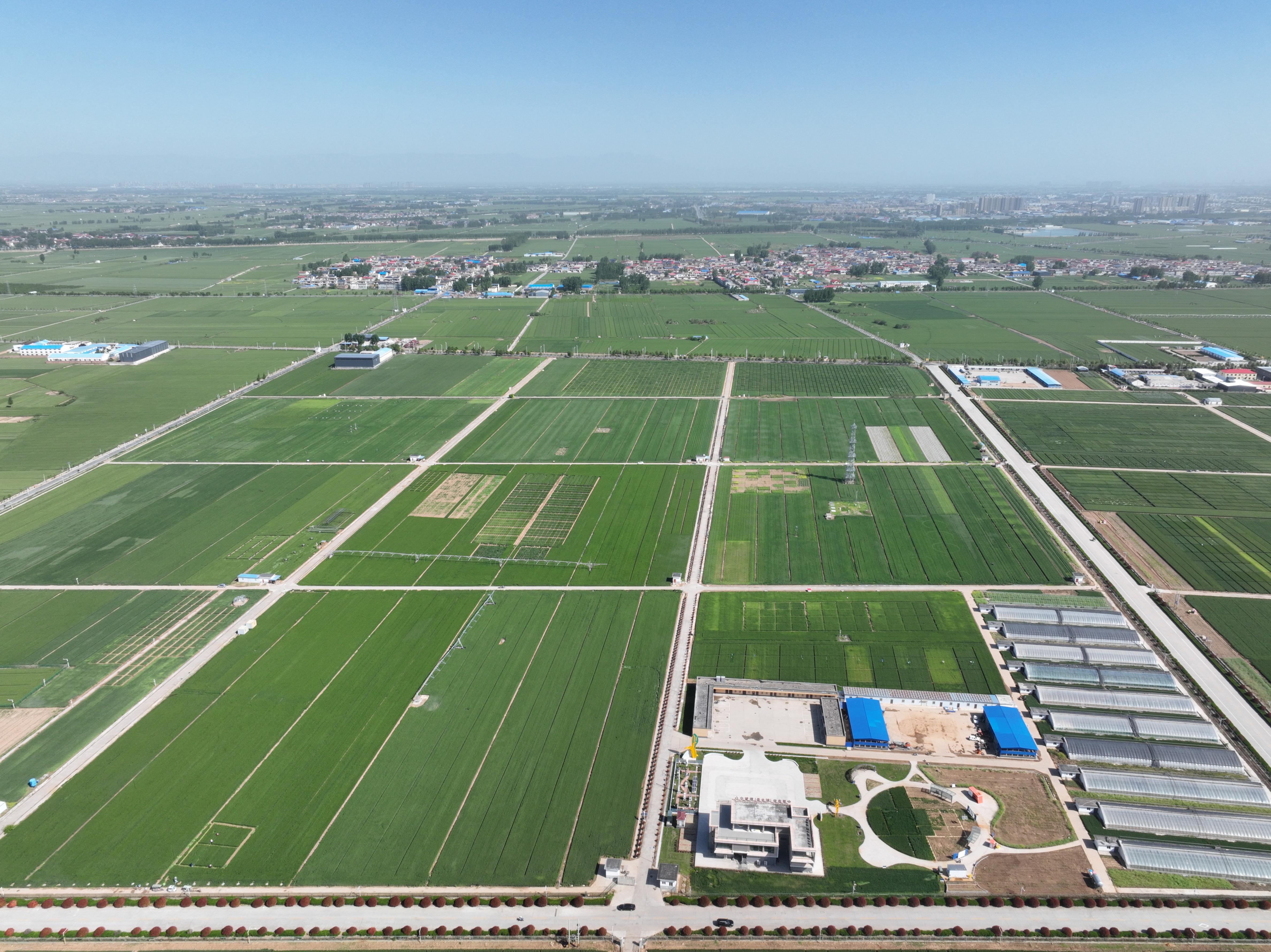 俯瞰水利部灌溉試驗總站試驗研究基地。受訪者供圖