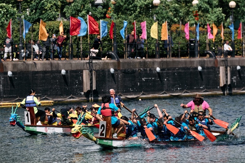 中英雙方的參賽隊(duì)伍參與龍舟競渡。楊浩鵬攝